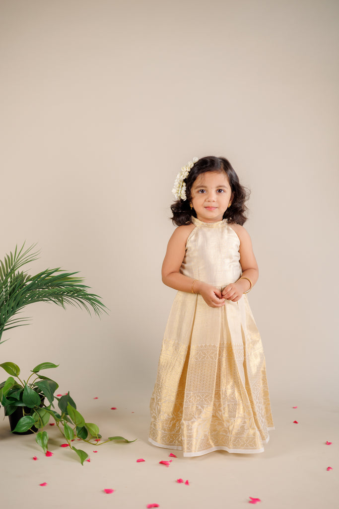 Aadhaya Fit & Flare Dress Mini
